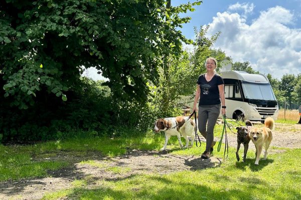 Dogwalk 2025